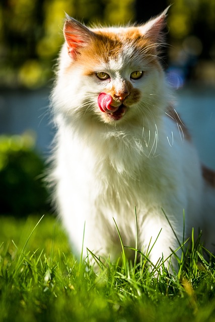 lawyer,lawsuit,nursing home,Indianapolis IN