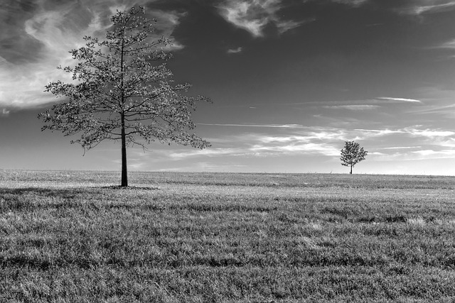 lawyer,lawsuit,nursing home,Kansas