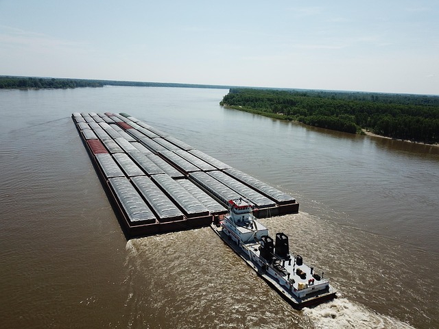 lawyer,lawsuit,nursing home,Mississippi