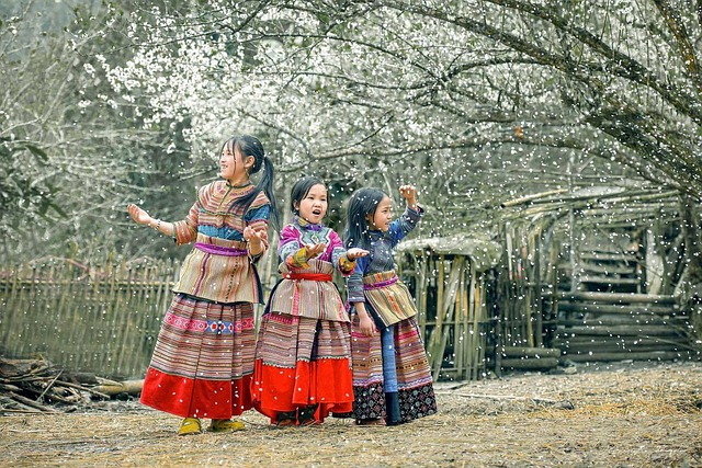 lawyer,lawsuit,nursing home,Pittsburgh PA