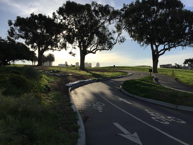 lawyer,lawsuit,nursing home,San Francisco CA