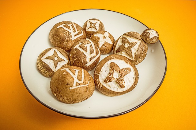 lawyer,lawsuit,nursing home,St. Louis MO