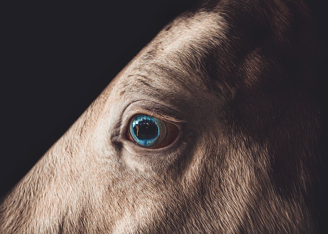 lawyer,lawsuit,Philadelphia PA