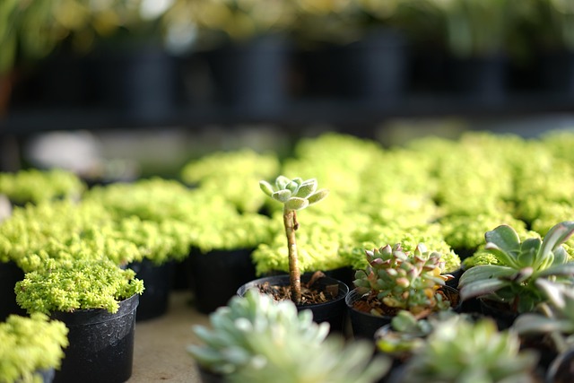 lawyer,lawsuit,Pittsburgh PA