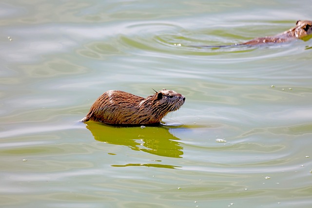 lawyer,lawsuit,San Antonio TX