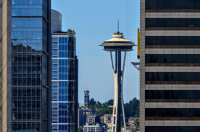 lawyer,lawsuit,Seattle WA