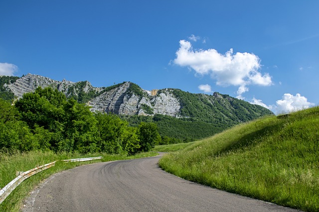 lawyer,lawsuit,St. Louis MO