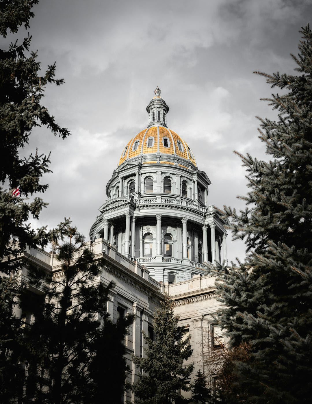 lawyer,lawsuit,Colorado