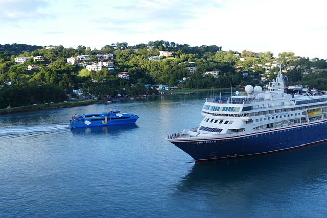 lawyer,lawsuit,cruise ship,St Louis MO
