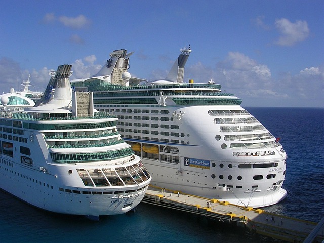 lawyer,lawsuit,cruise ship,St Louis MO