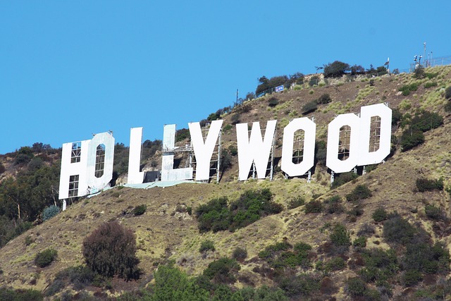 lawyer,lawsuit,Los Angeles CA